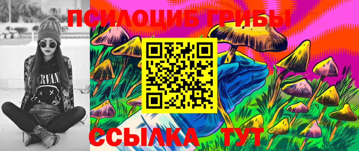 Галлюциногенные грибы GOLDEN TEACHER  Вход с VPN  Балаково 