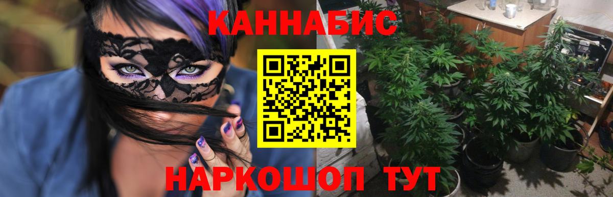 Бошки марихуана Amnesia  Вход с VPN  Шишки марихуана сатива  Шишки марихуана планчик  Конопля SATIVA & INDICA  Балаково 